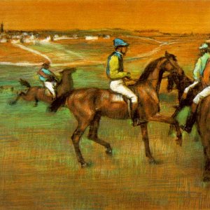 Race horses