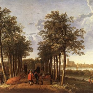 The Avenue At Meerdervoort